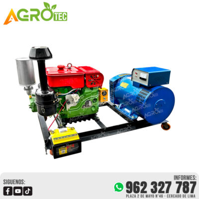 GENERADOR ABIERTO 30 000 WATTS