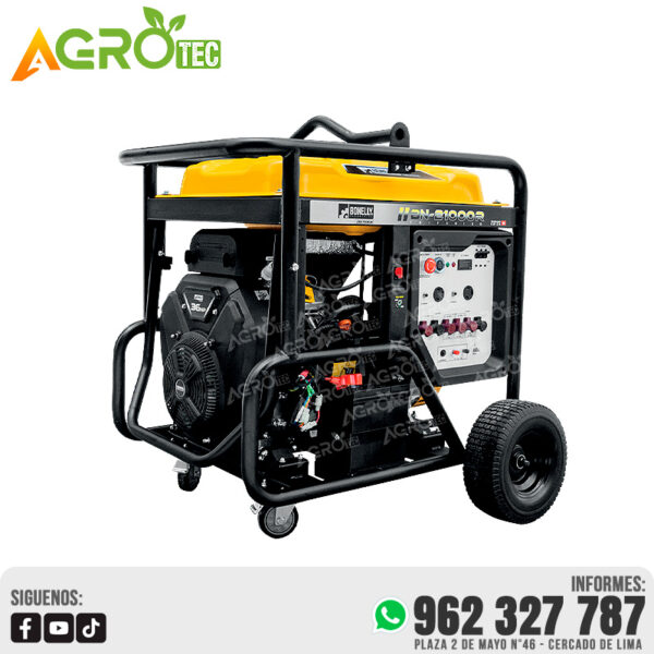 GENERADOR BONELLY BN21000R