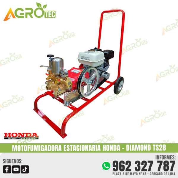 MOTOFUMIGADORA ESTACIONARIA DIAMOND TS28