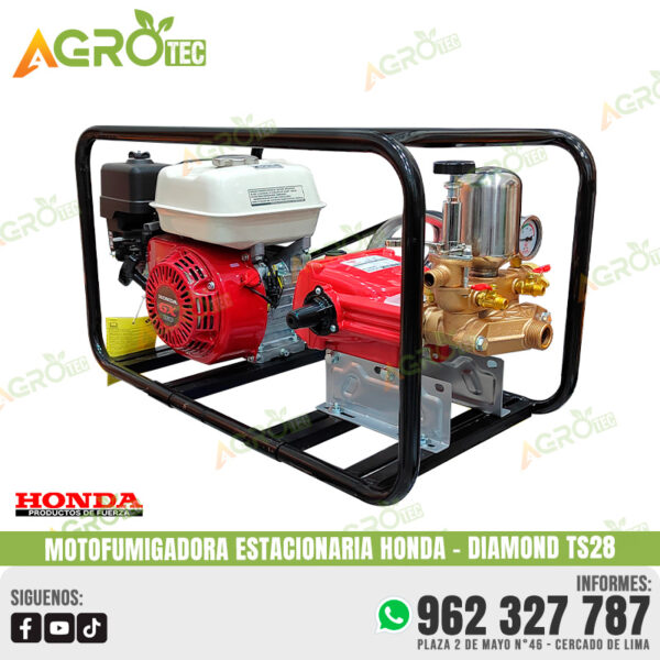 MOTOFUMIGADORA ESTACIONARIA HONDA GX160 CON CABEZAL DIAMOND TS28