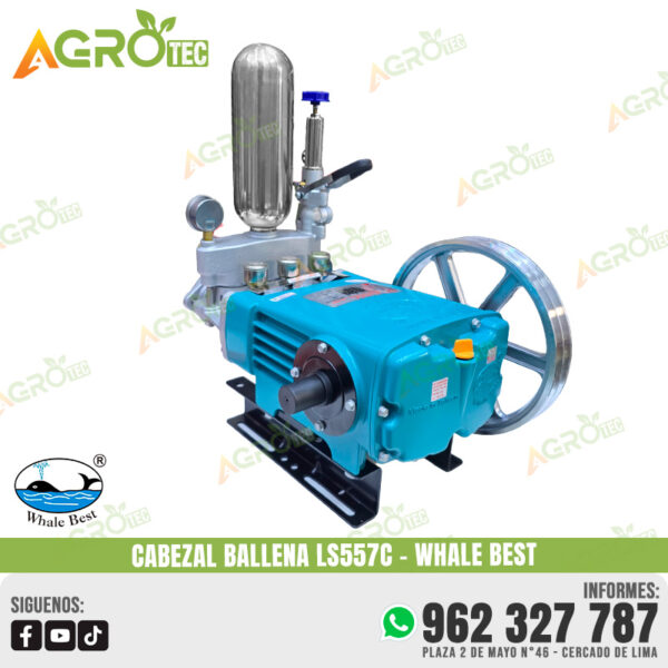 BALLENA LS557C