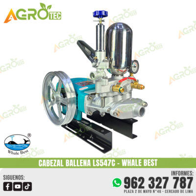 CABEZAL BALLENA LS547C WHALE BEST