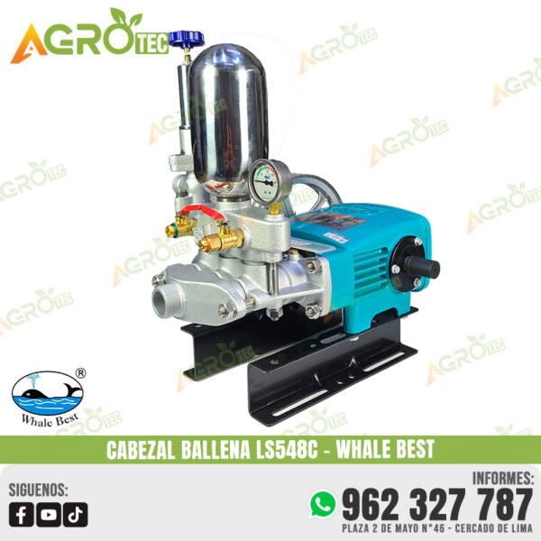 CABEZAL BALLENA LS548C WHALE BEST