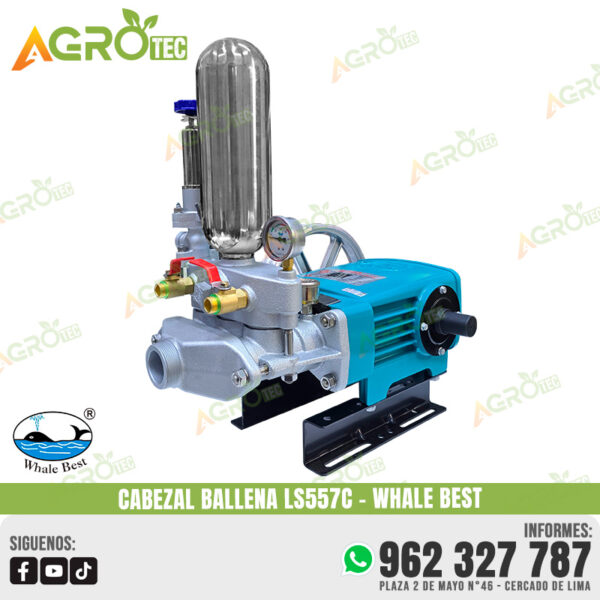 CABEZAL BALLENA LS557C WHALE BEST