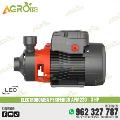 ELECTROBOMBA PERIFERICA LEO APM220